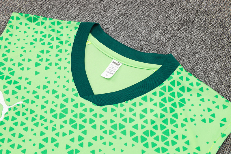 24/25 Palmeiras Green raining Set Shirt and Shorts