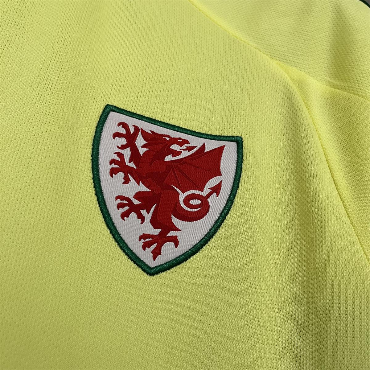 2024/25 Wales Away Jersey Fan Version