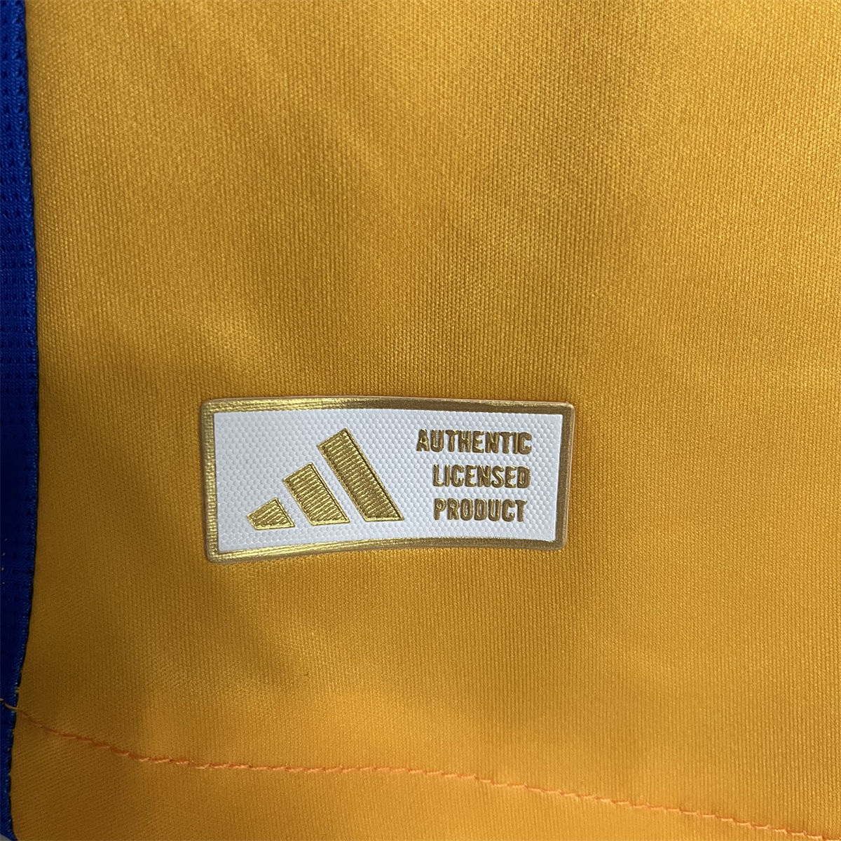24/25 Tigres UANL Home Special edition Jersey Player Version