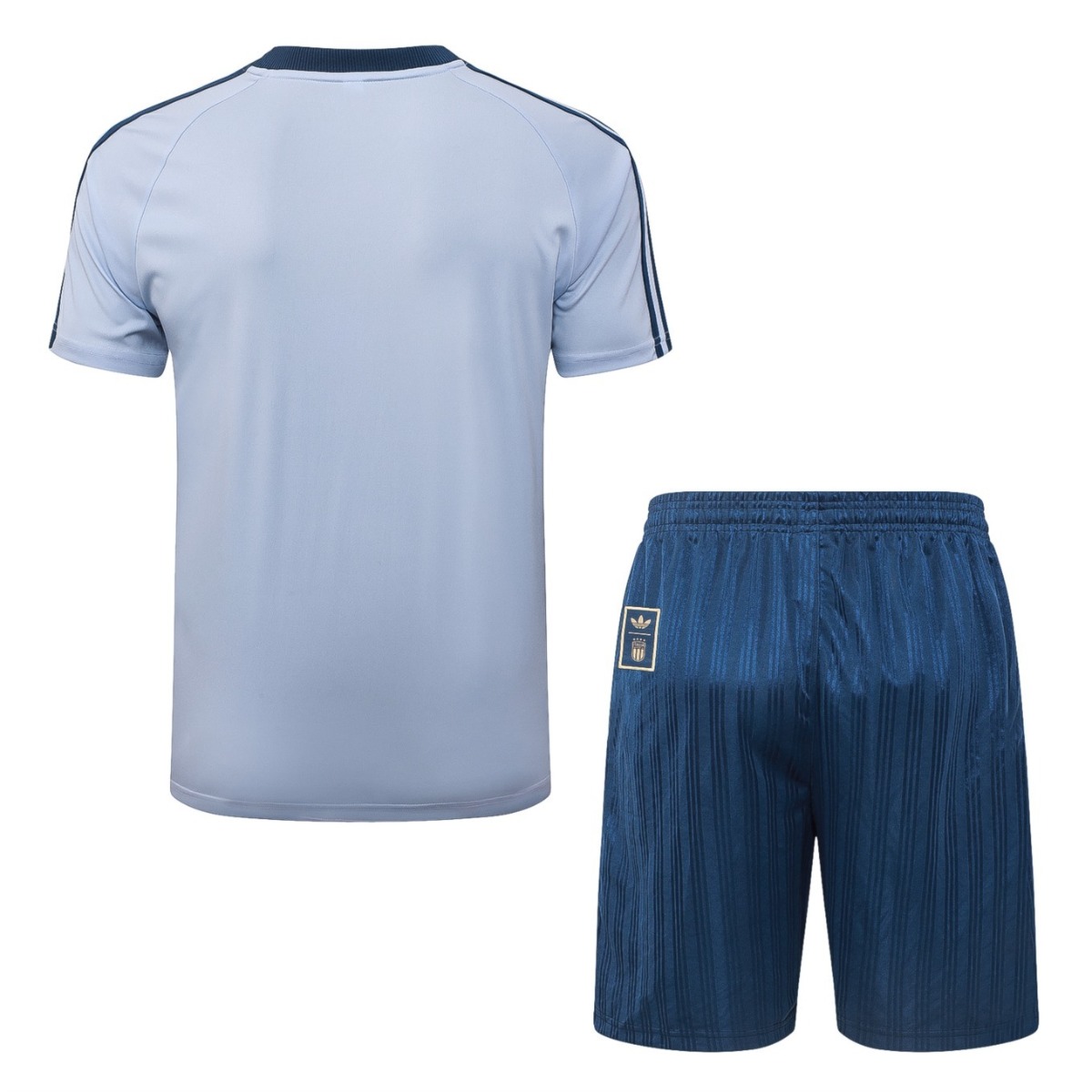 2026 Italy Light blue Training Set Shirt and Shorts