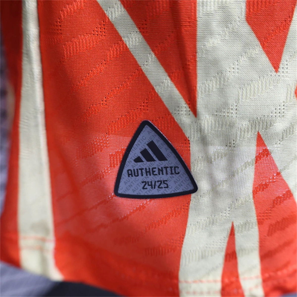 24/25 Bayern Munich Special edition Jersey Player Version