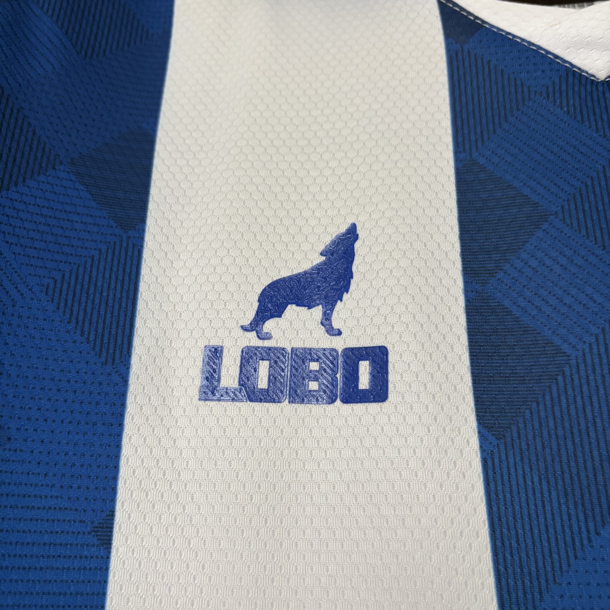 2026/27 Paysandu Home jersey Fan Version