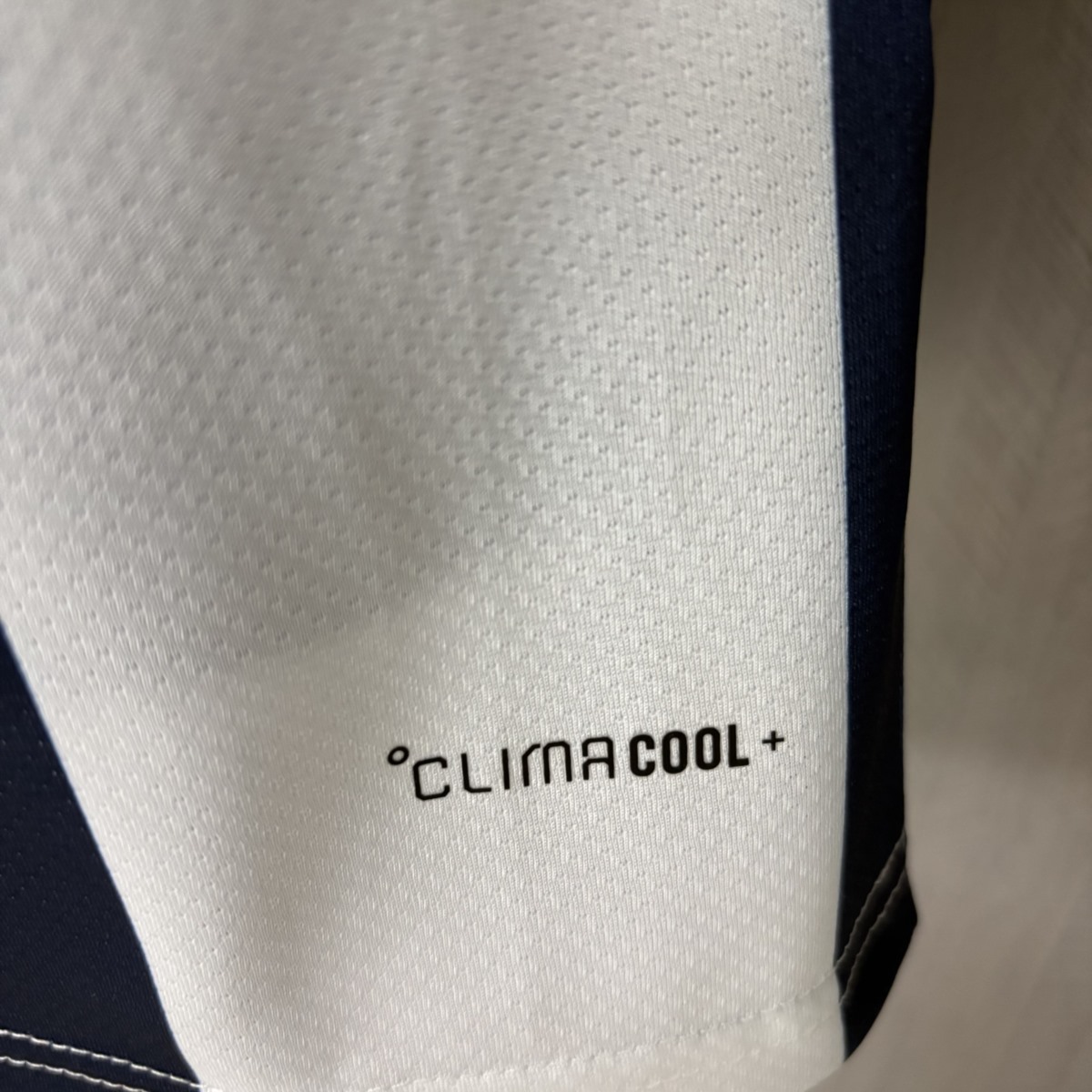 2026 Scotland Special Edition jersey Player version