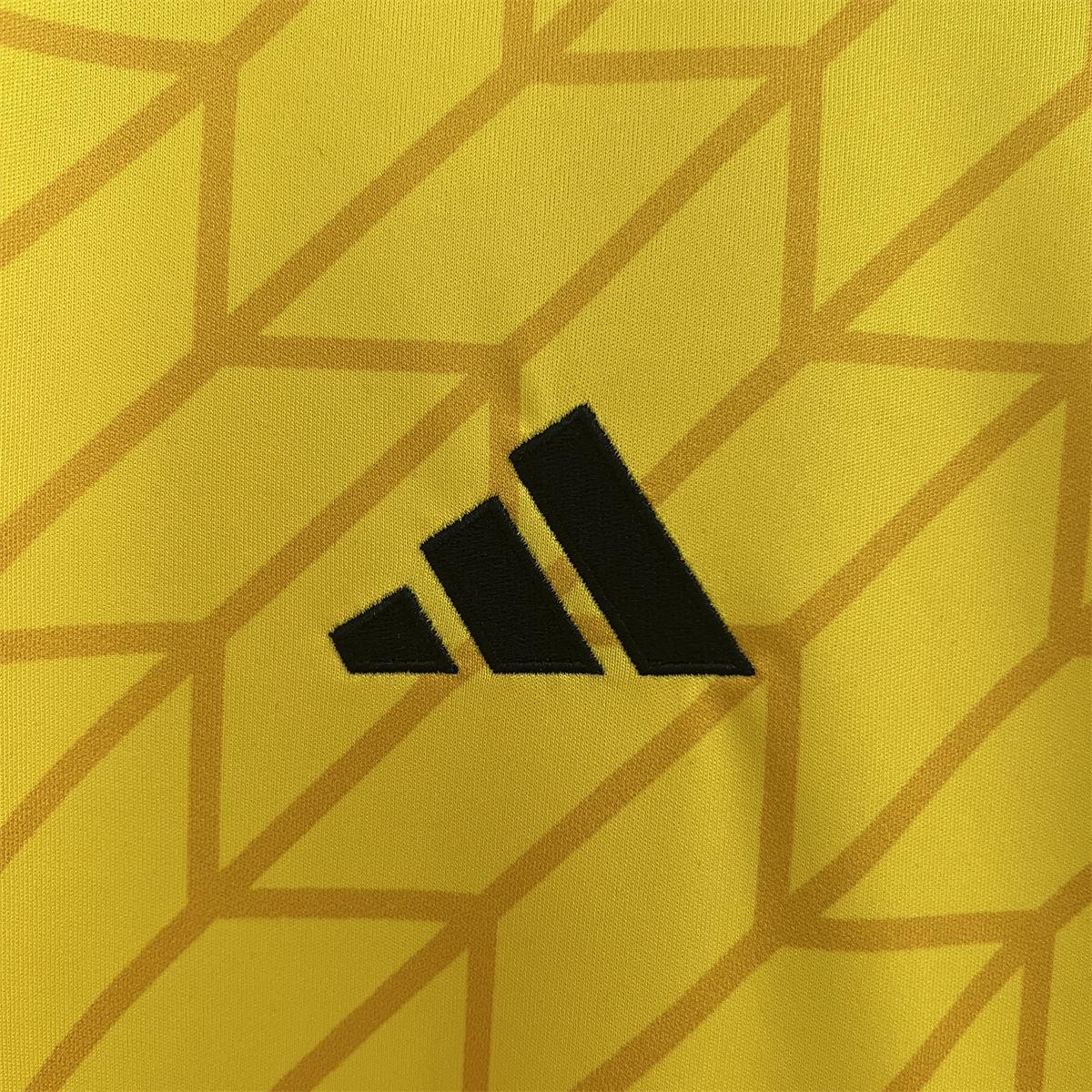 2024/25 Colo Colo goalkeeper yellow Jersey Fan Version