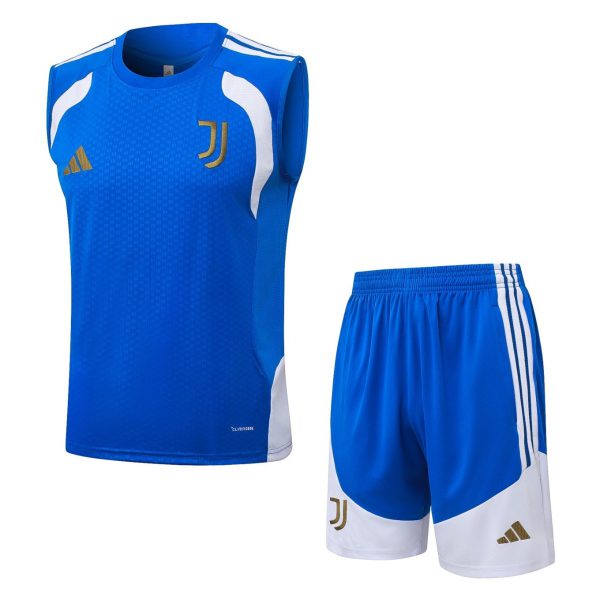 2026 Juventus Colorful orchid blue Training Set Shirt and Shorts