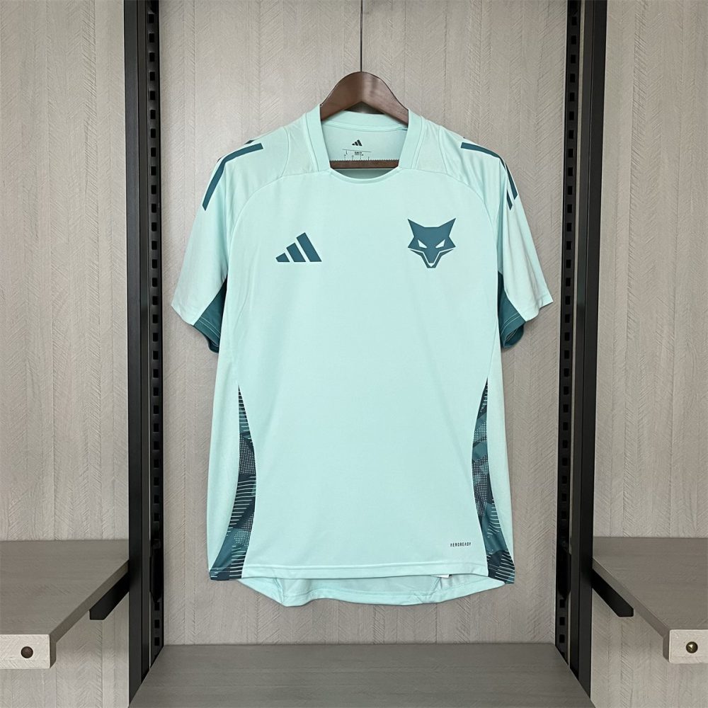 25/26 Cruzeiro Training jersey Fan Version