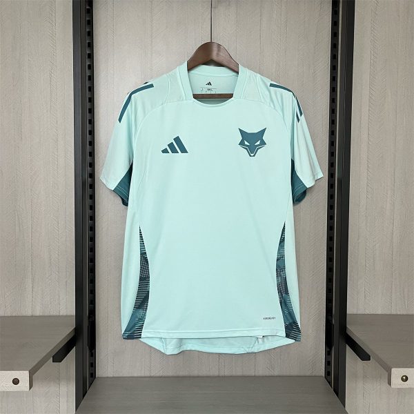 25/26 Cruzeiro Training jersey Fan Version
