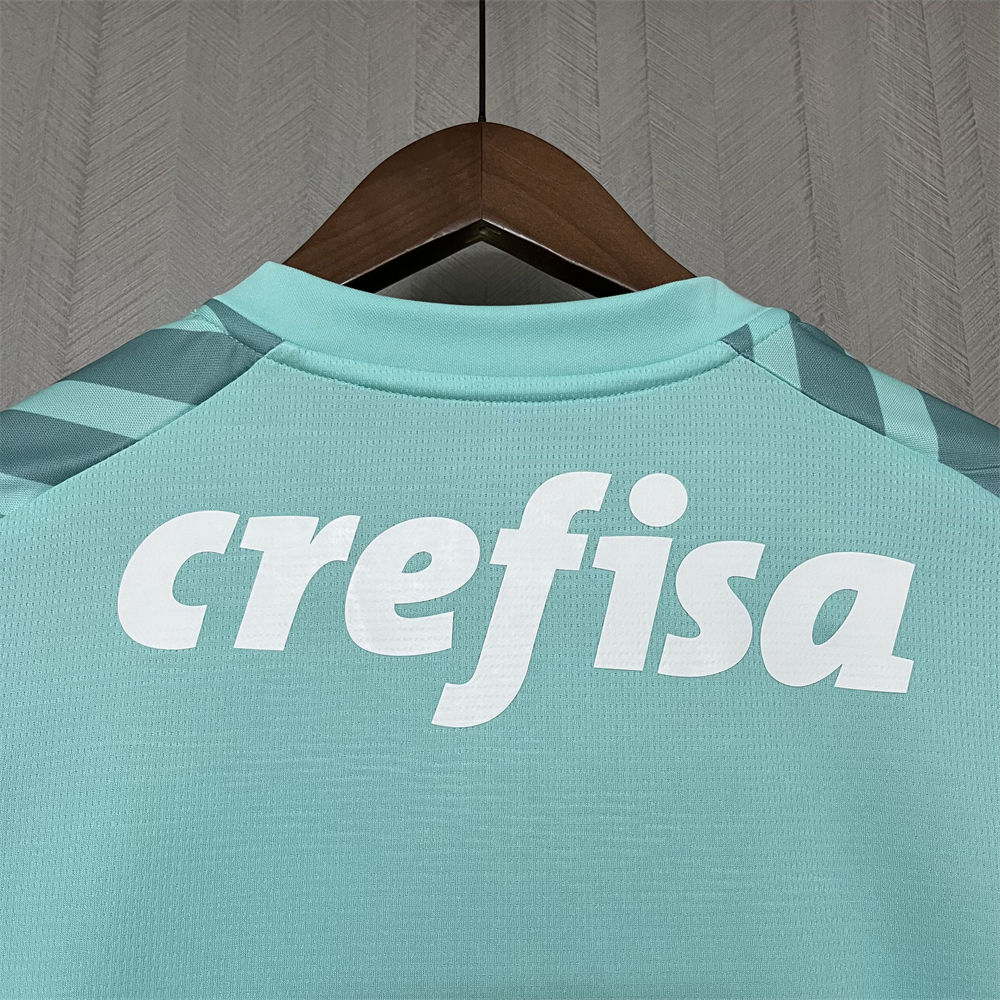 2024/25 Palmeiras Goalkeeper Green jersey Fan Version