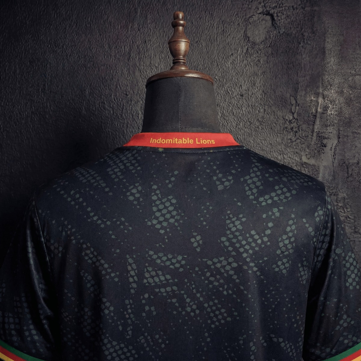 2026 Cameroon Special Edition Black Jersey Fan Version