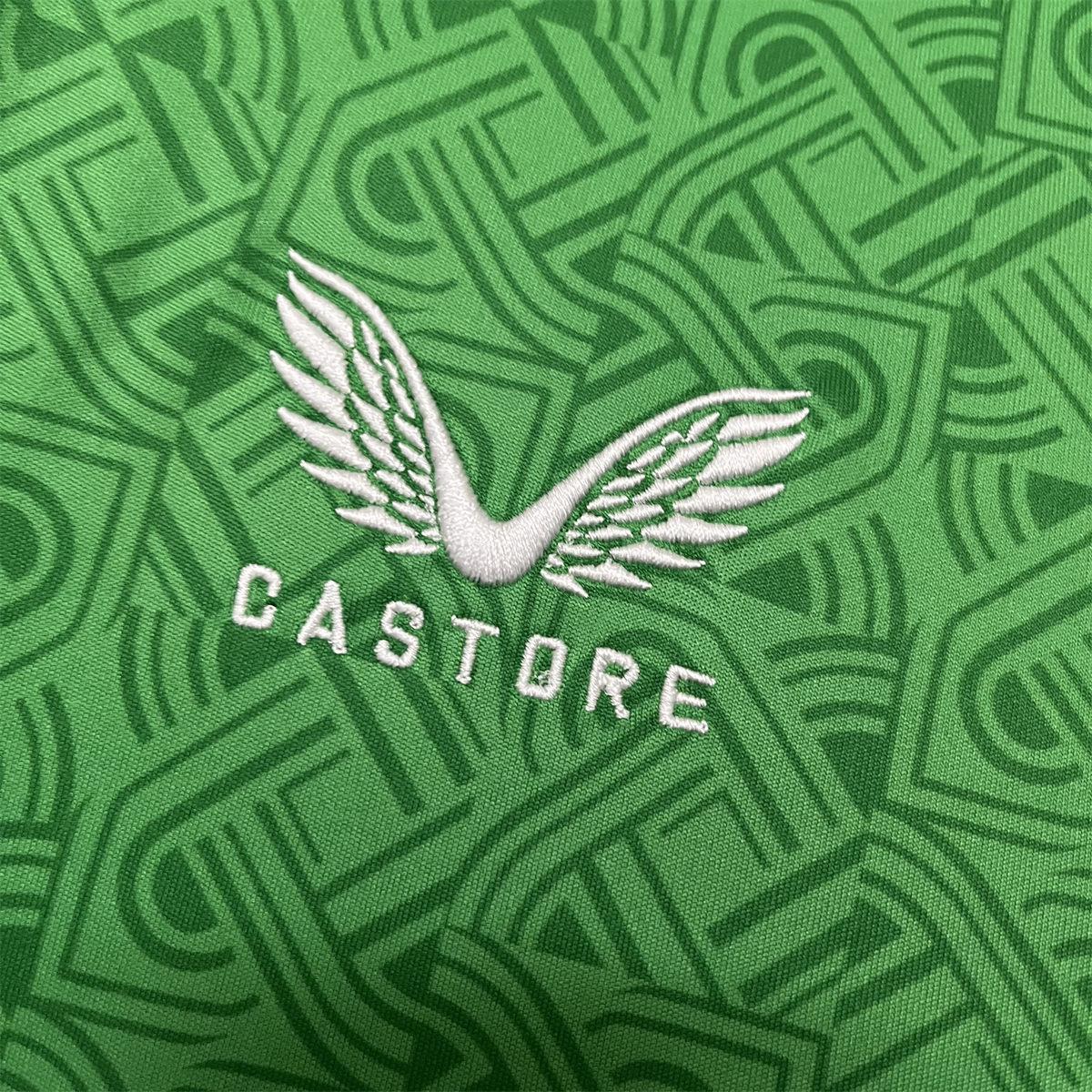 2024/25 Ireland Home Jersey Fan Version