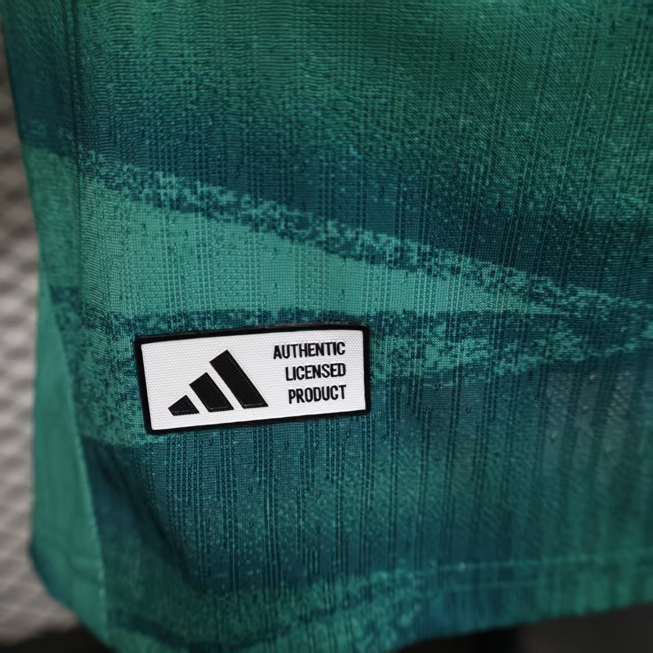 Germany 2026 World Cup Goalkeeper Green jersey Player Version
