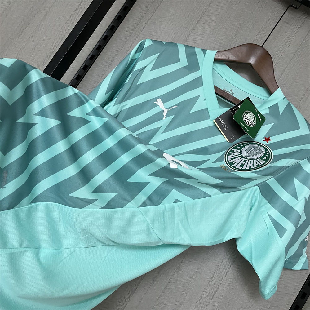 2024/25 Palmeiras Goalkeeper Green jersey Fan Version