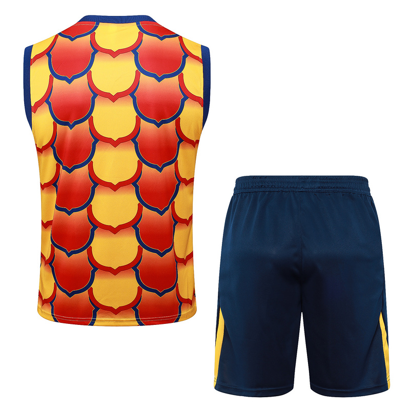 24/25 Barcelona Yellow Training Set Shirt and Shorts