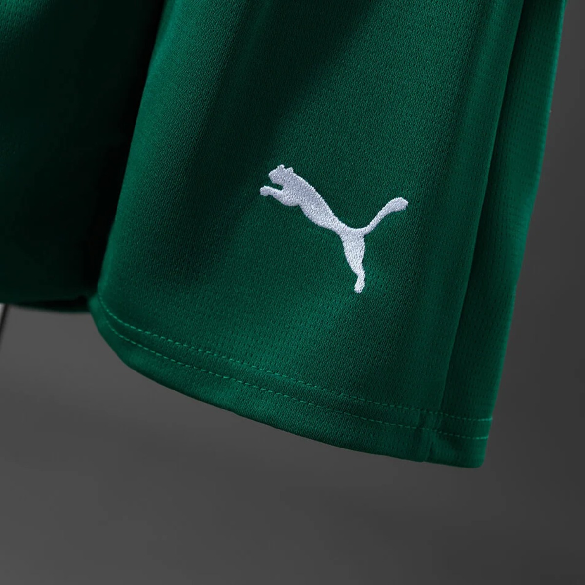 2026/27 Palmeiras  Kid Kits size: 16-28