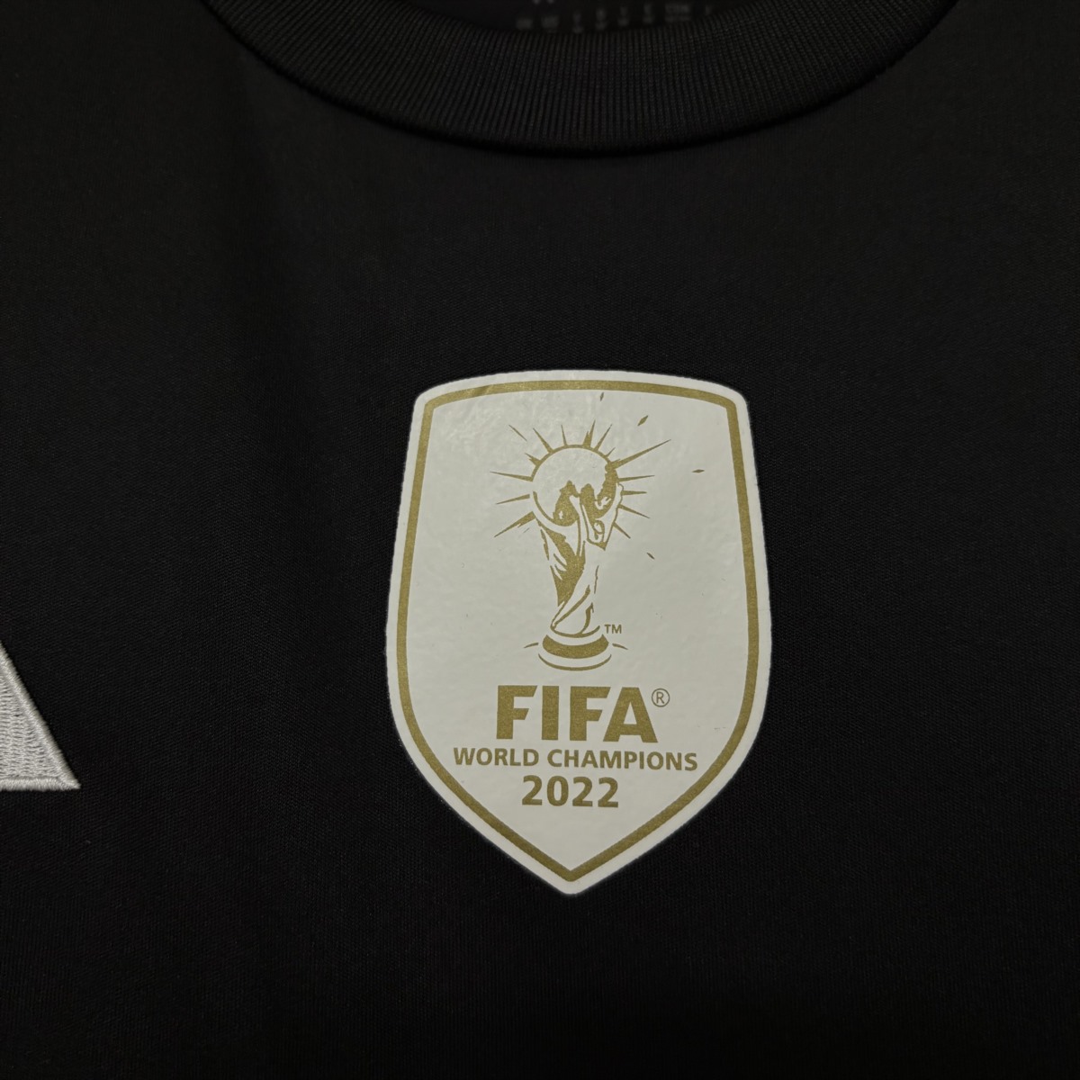 2025/26 Argentina Goalkeeper Black jersey Fan version