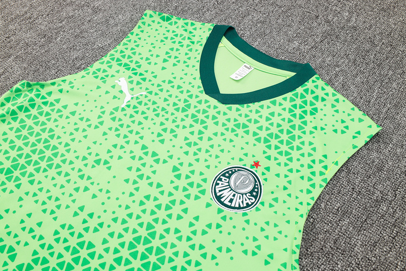 24/25 Palmeiras Green raining Set Shirt and Shorts