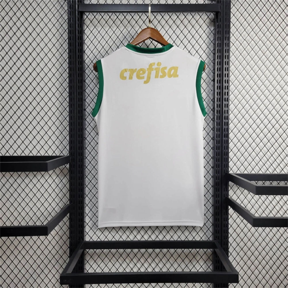 2024/25 Palmeiras Away vest jersey Fan Version