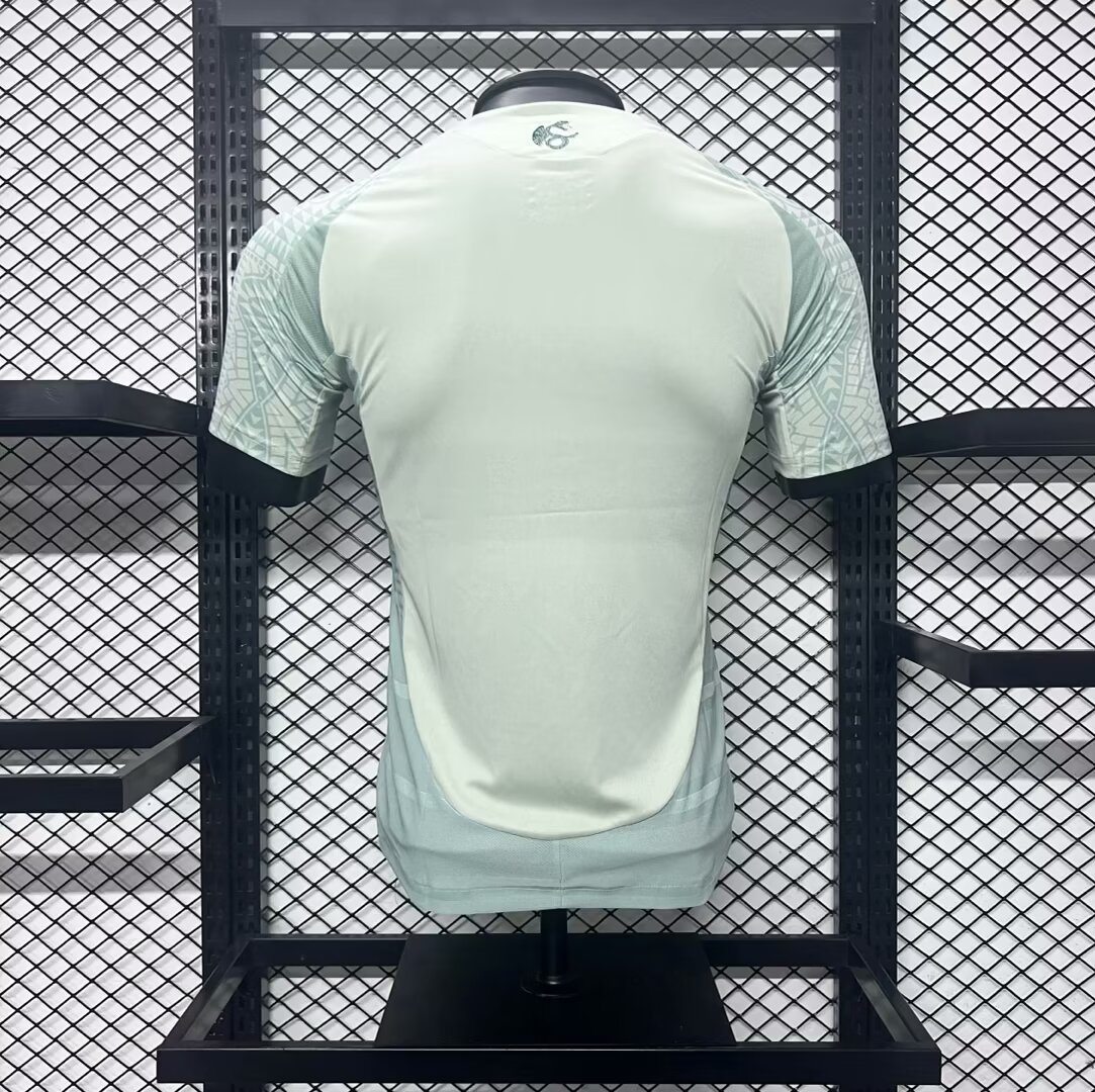 24/25 Mexico Away Jersey Player Version