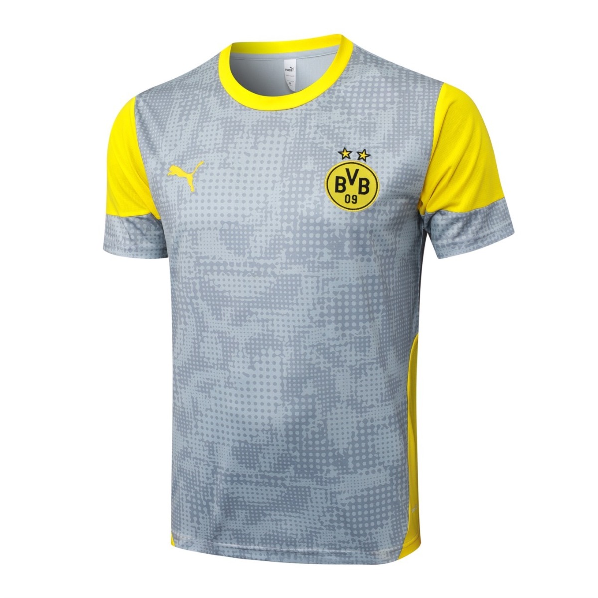 2026 Dortmund Light gray Training Set Shirt and Shorts