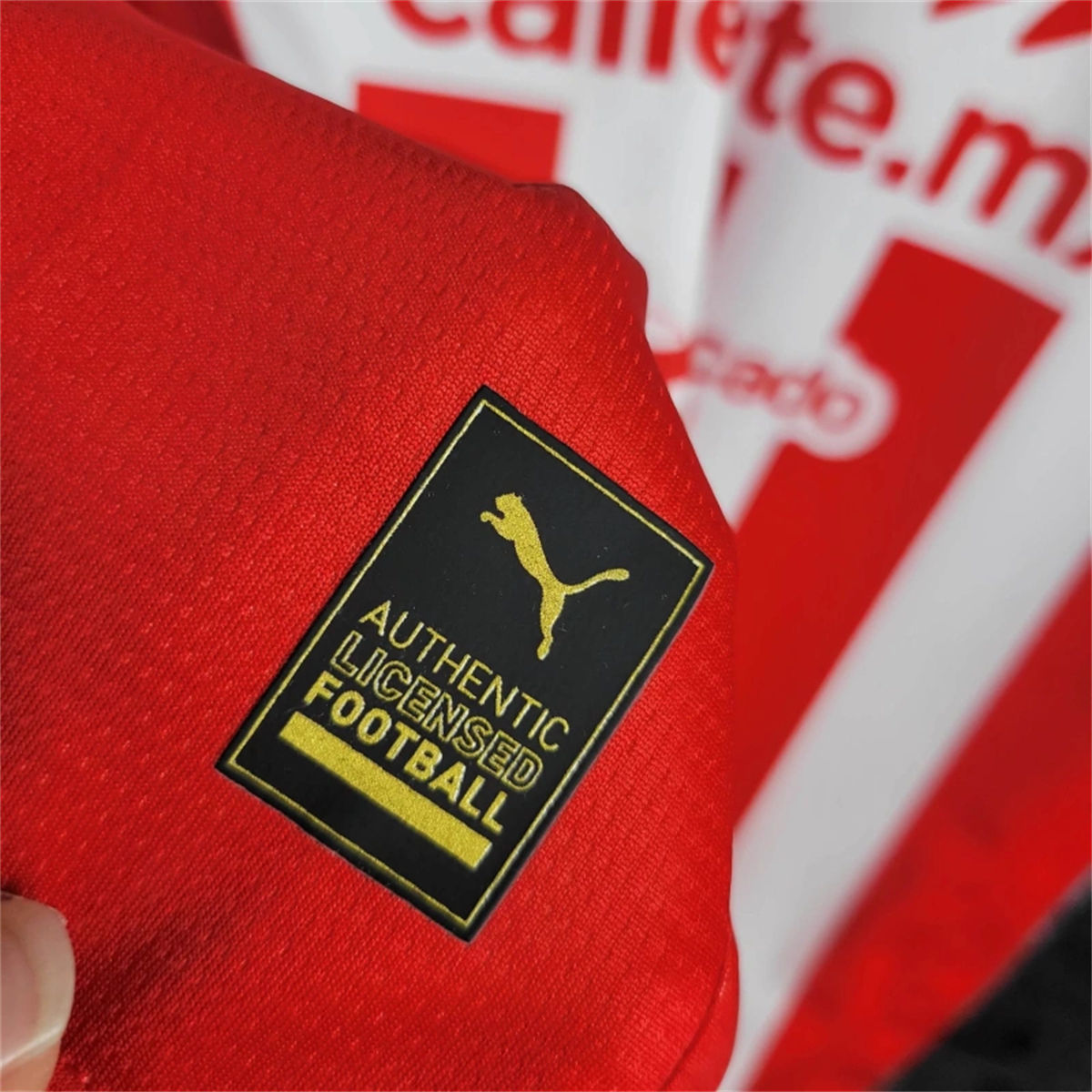 2024/25 Chivas Home Jersey Fan Version