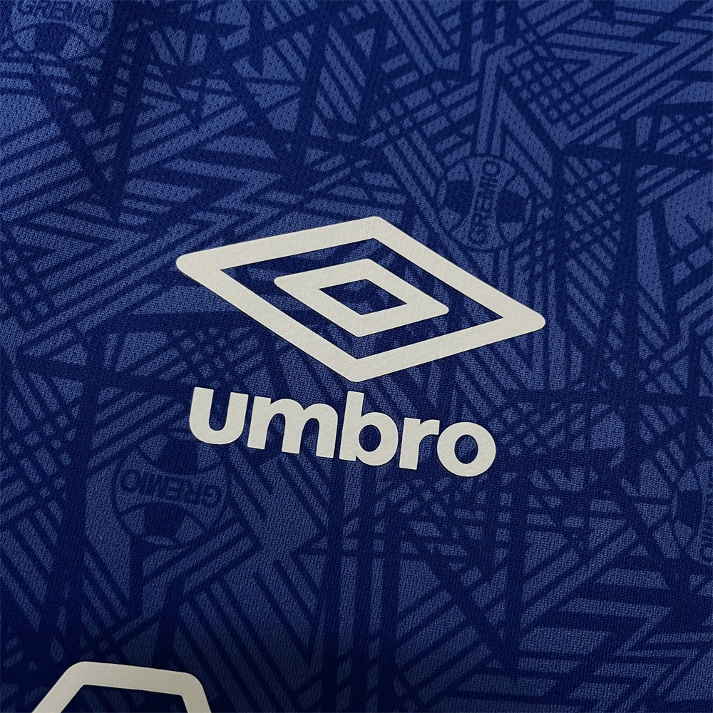 2024/25 Gremio Training Blue jersey Fan Version