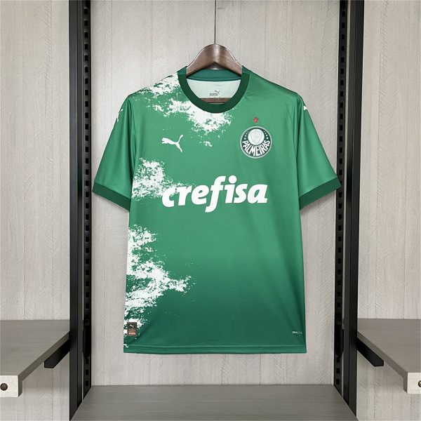 2024/25 Palmeiras Special Edition Green and white jersey Fan Version
