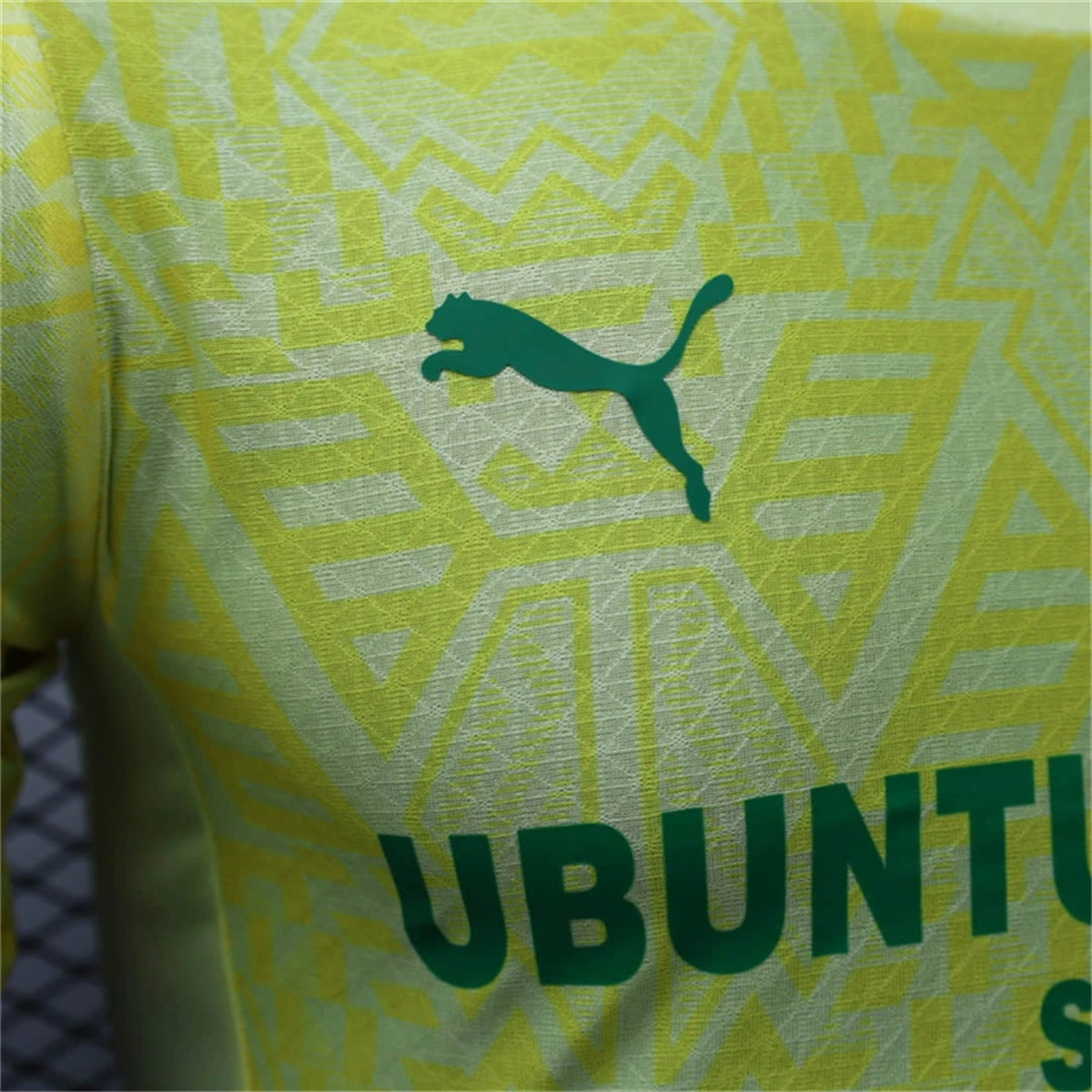 24/25 Mamelodi Sundowns F.C. Home Special edition Jersey Player Version