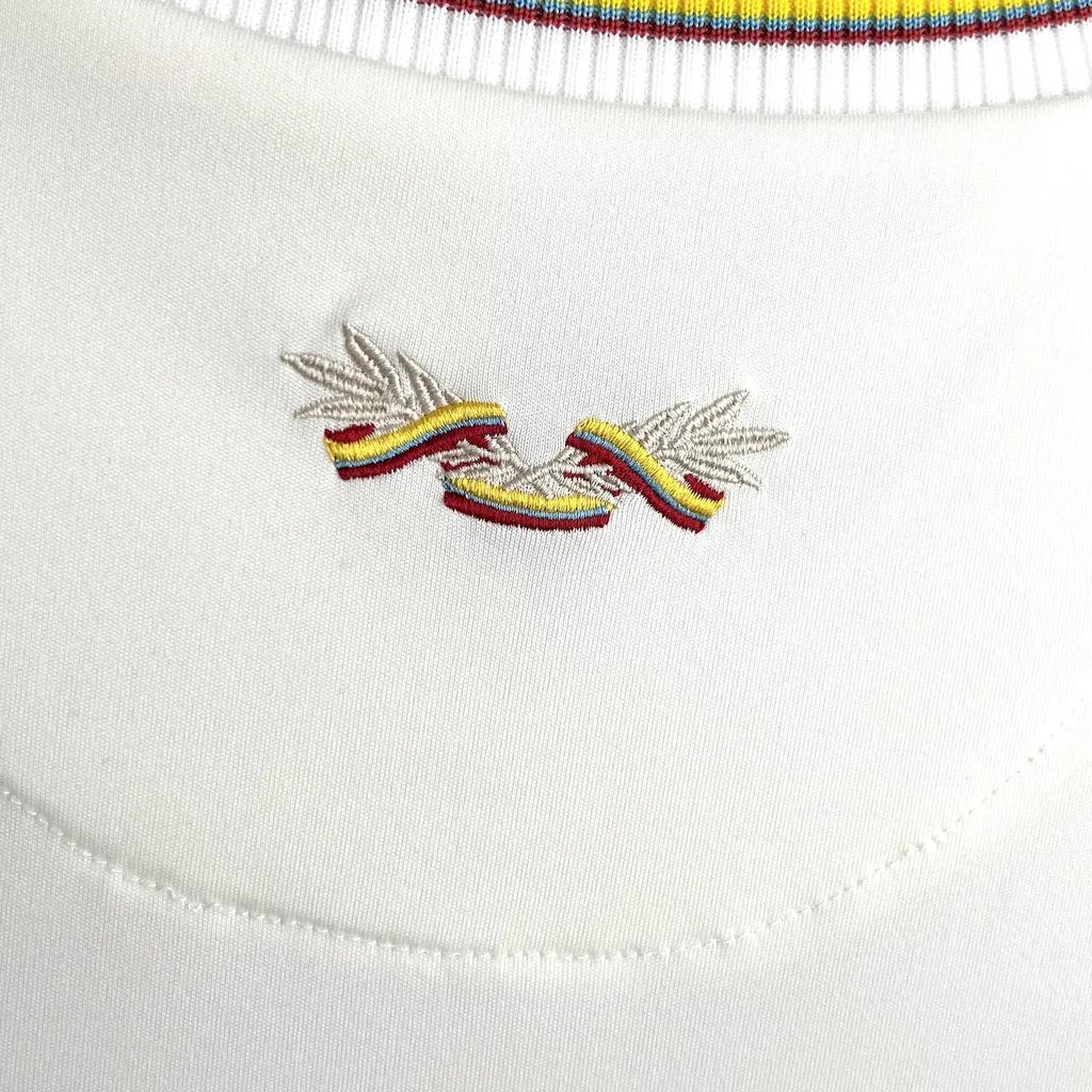 2024/25 Colombia 100th Anniversary Special Edition Jersey Fan Version