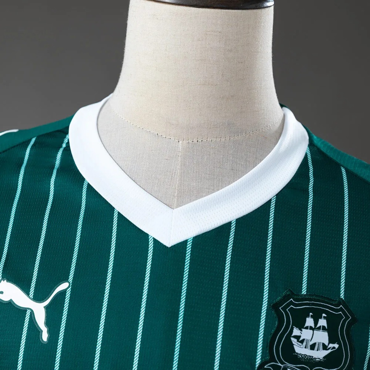 2026/27 Plymouth Argyle Home Jersey Fan Version