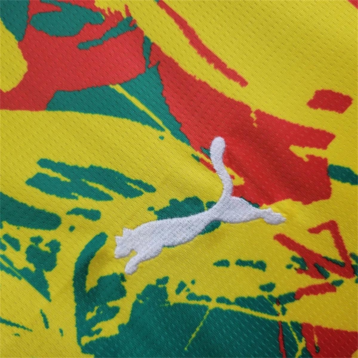 2024/25 Senegal Pre-match training shirt Jersey Fan Version