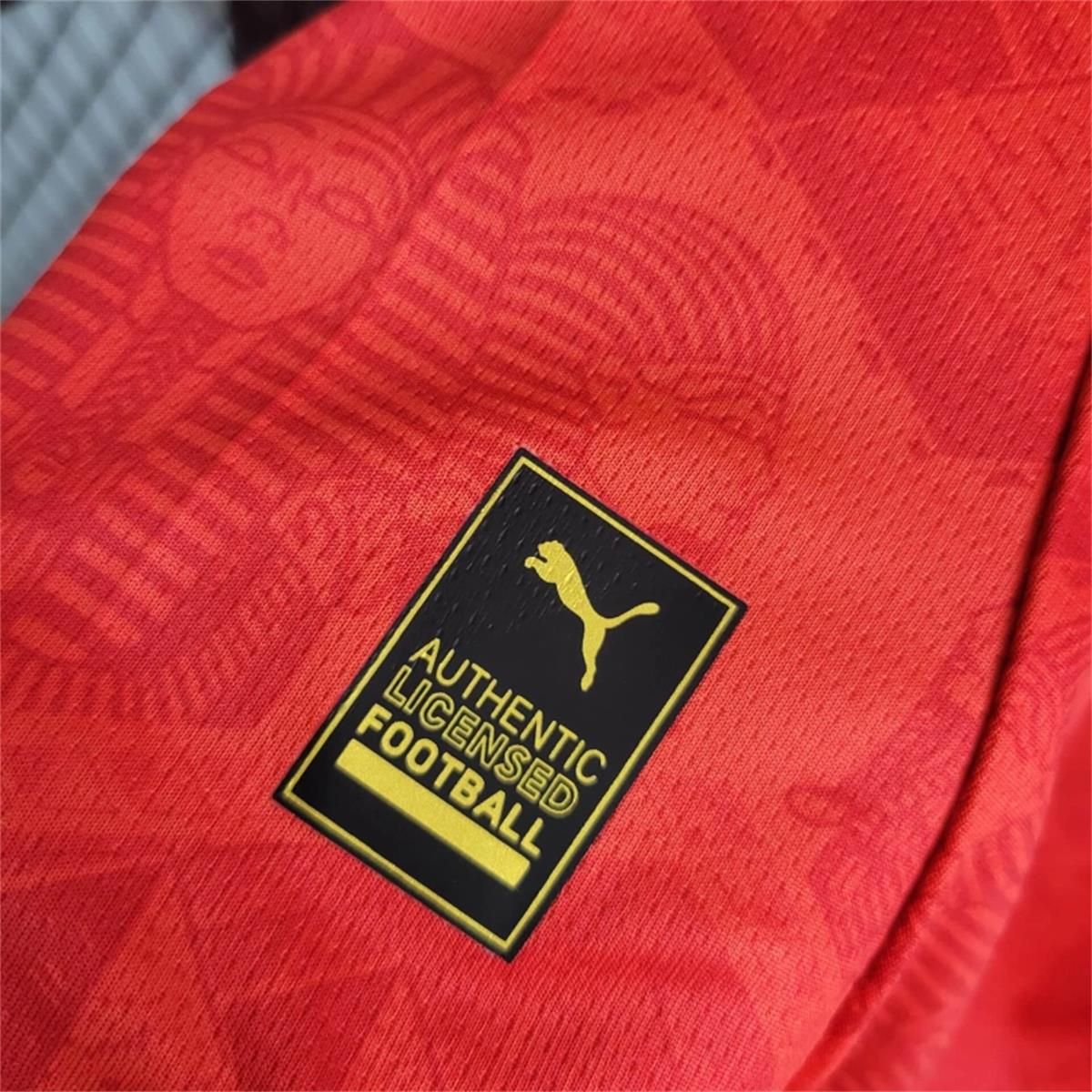 2024/25 Egypt Home Jersey Fan Version