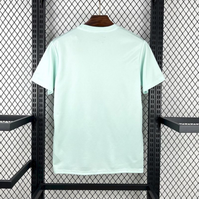 2025/26 Brazil Special Edition Green and white jersey Fan Version