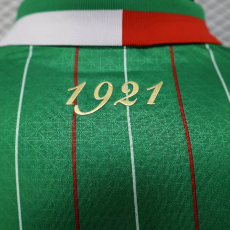 2025/26 Palestine Special Edition Green jersey Player Version