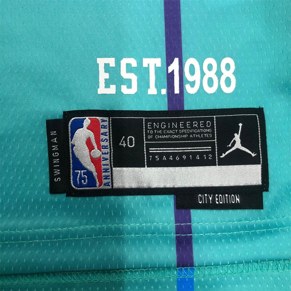 NBA Charlotte Hornets V-Neck Light Green OUBREJR#12 Jersey S-XXL