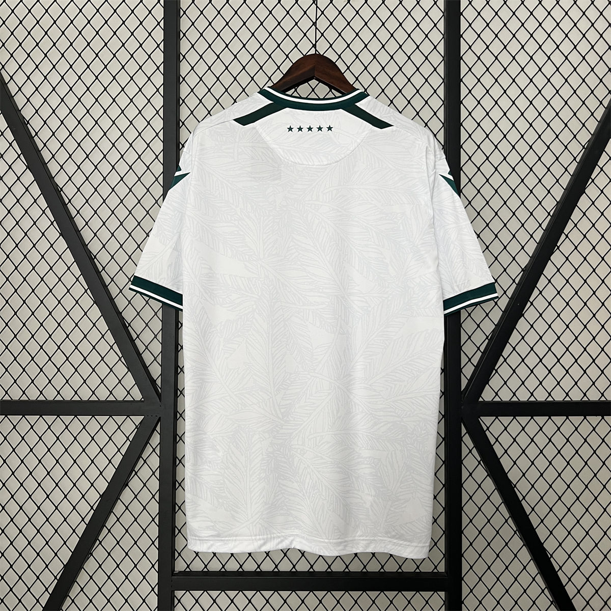 24/25 Santiago Wanderers Away Jersey Fan Version