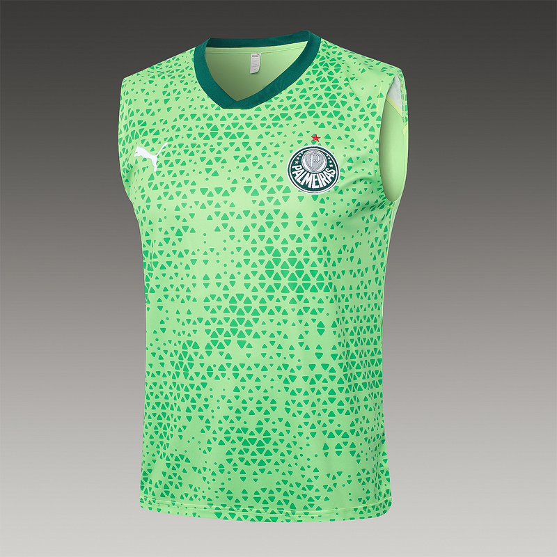 24/25 Palmeiras Green raining Set Shirt and Shorts
