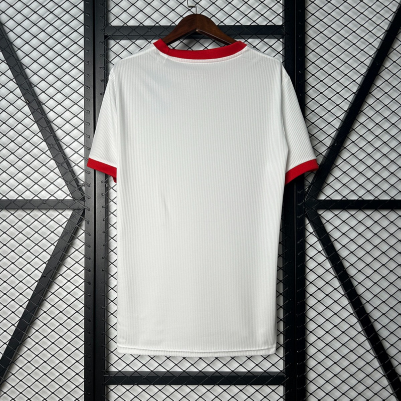 2025/26 Benfica Special Edition Jersey Fan Version