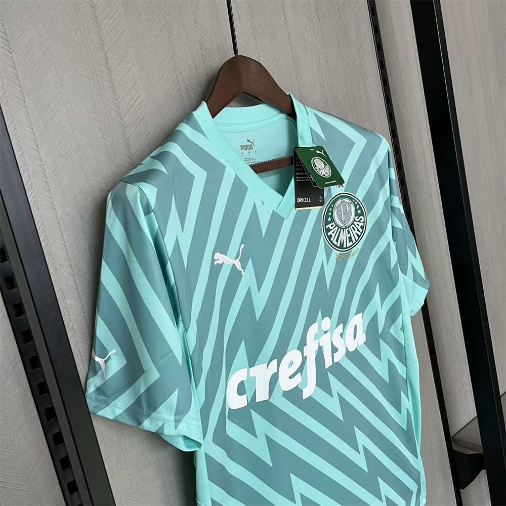 2024/25 Palmeiras Goalkeeper Green jersey Fan Version