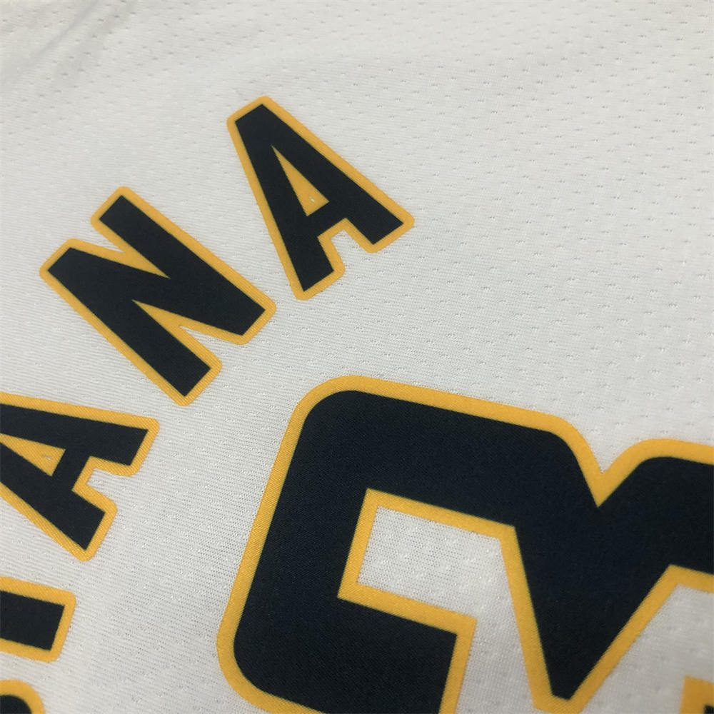 NBA Indiana Pacers V-Neck White Jersey GEORGE#13 S-XXL