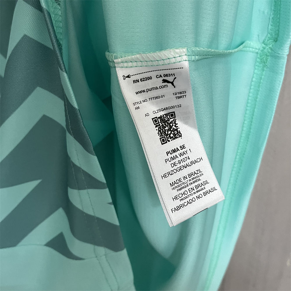 2024/25 Palmeiras Goalkeeper Green jersey Fan Version