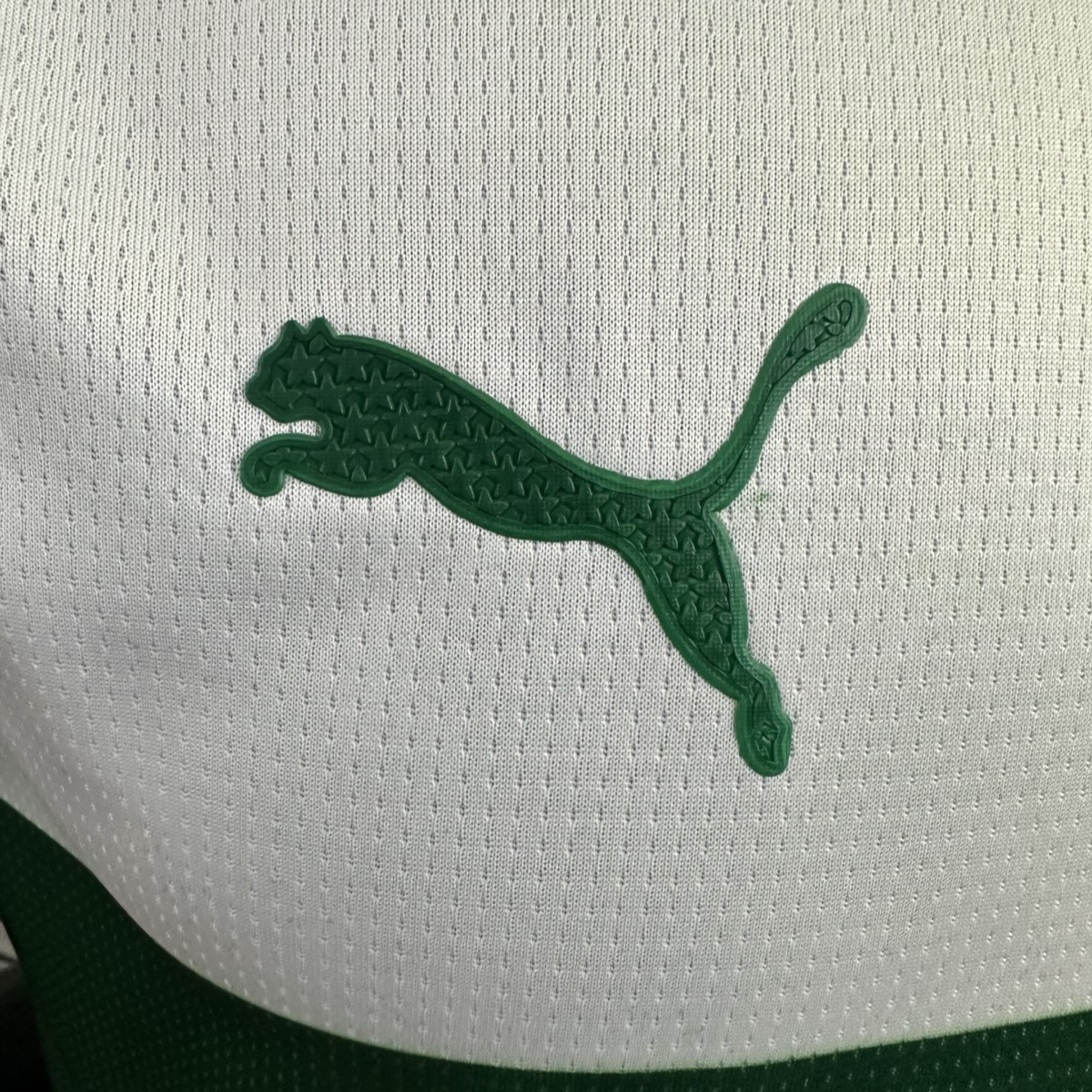 2025/26 Palmeiras Special Edition Green Jersey Player Version