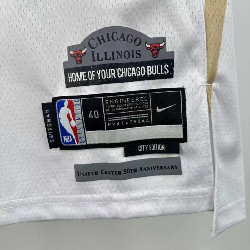 NBA Chicago Bulls 2025 Swingman City Edition Jersey WHITE#0 S-XXL