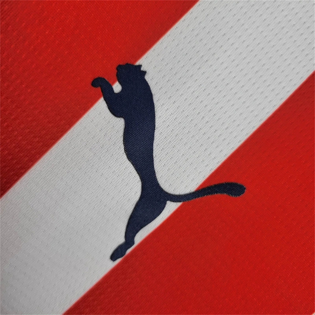 2024/25 Chivas Home Jersey Fan Version