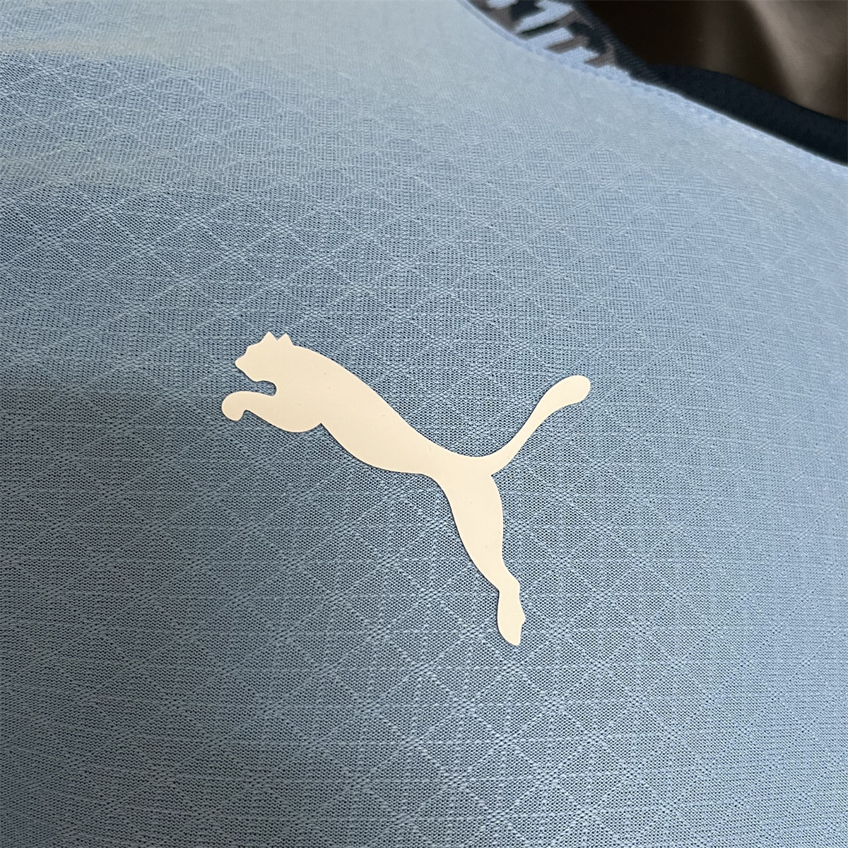 24/25 Manchester City Home Jersey Long Sleeve Player Version