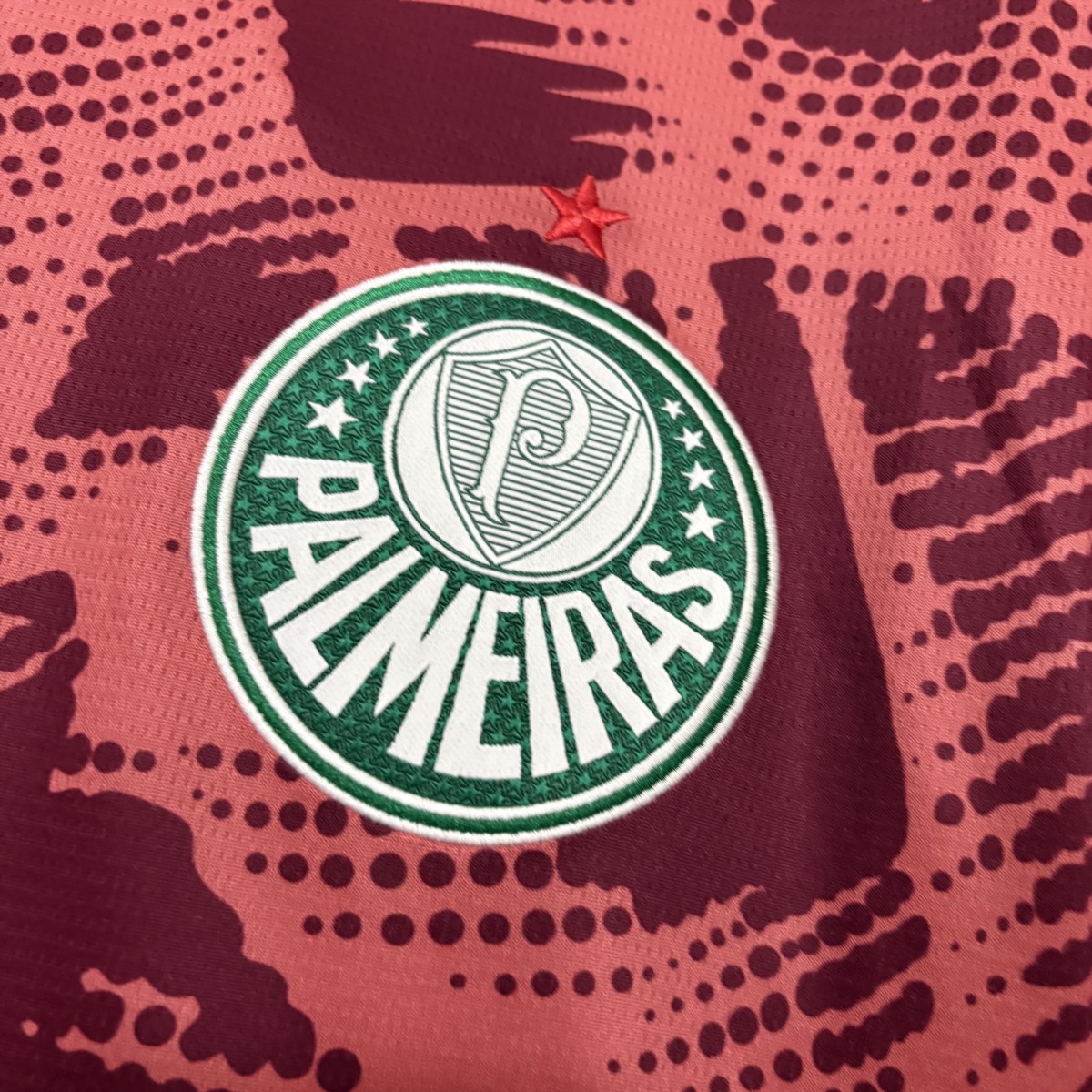 25/26 Palmeiras Goalkeeper Orange jersey Fan Version