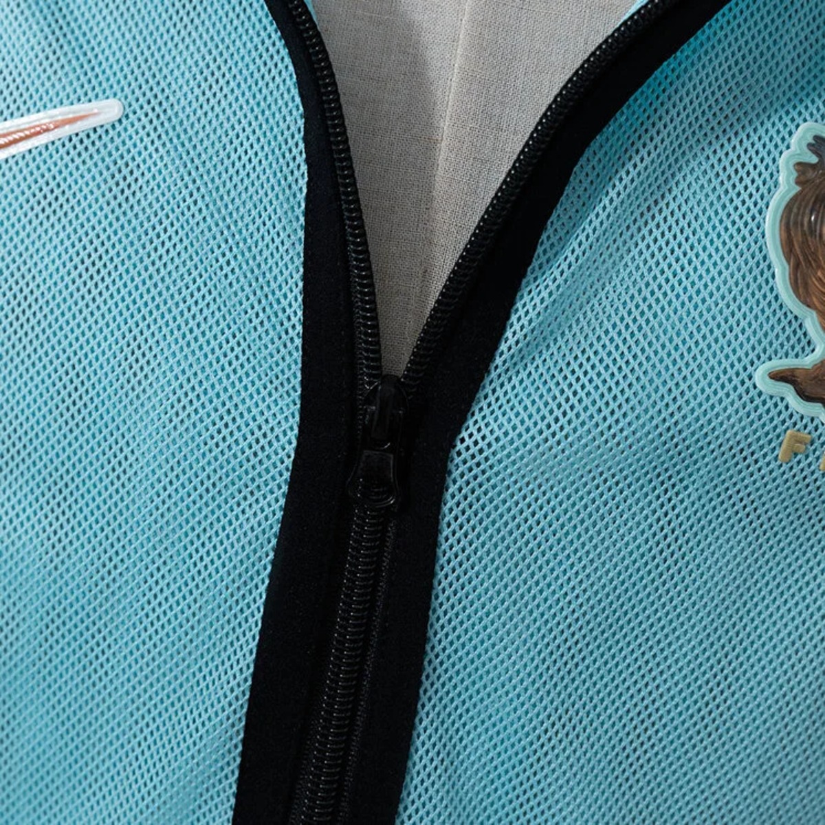 2026 France Light Green Windbreaker