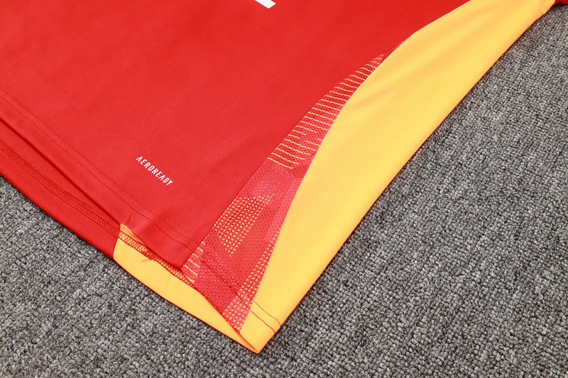 24/25 Bayern Munich Red Training Set Shirt and Shorts