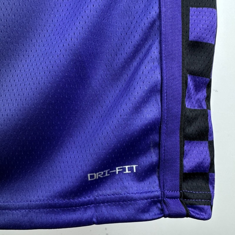 NBA Scaramento Kings 2024 V-Neck JORDAN Edition Purple jersey LAVINE#8 S-XXL