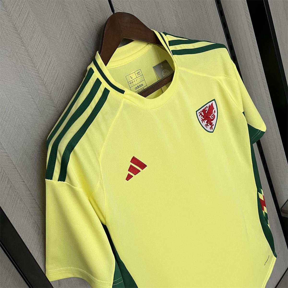 2024/25 Wales Away Jersey Fan Version