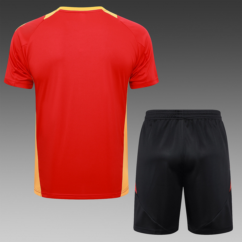 24/25 Bayern Munich Red Training Set Shirt and Shorts